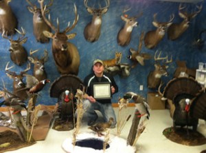 Saint Clair County ,Michigan Deer Shoulder mount